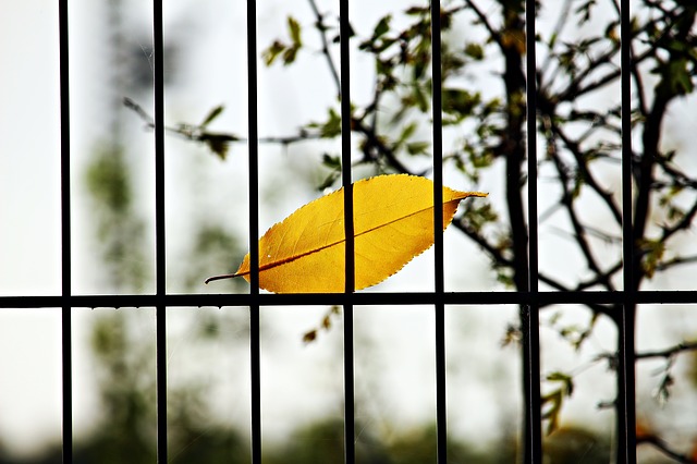 Stabmattenzaun vor einem Garten Grundstück